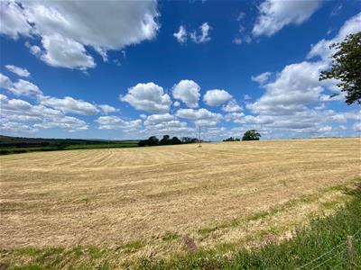 The Land